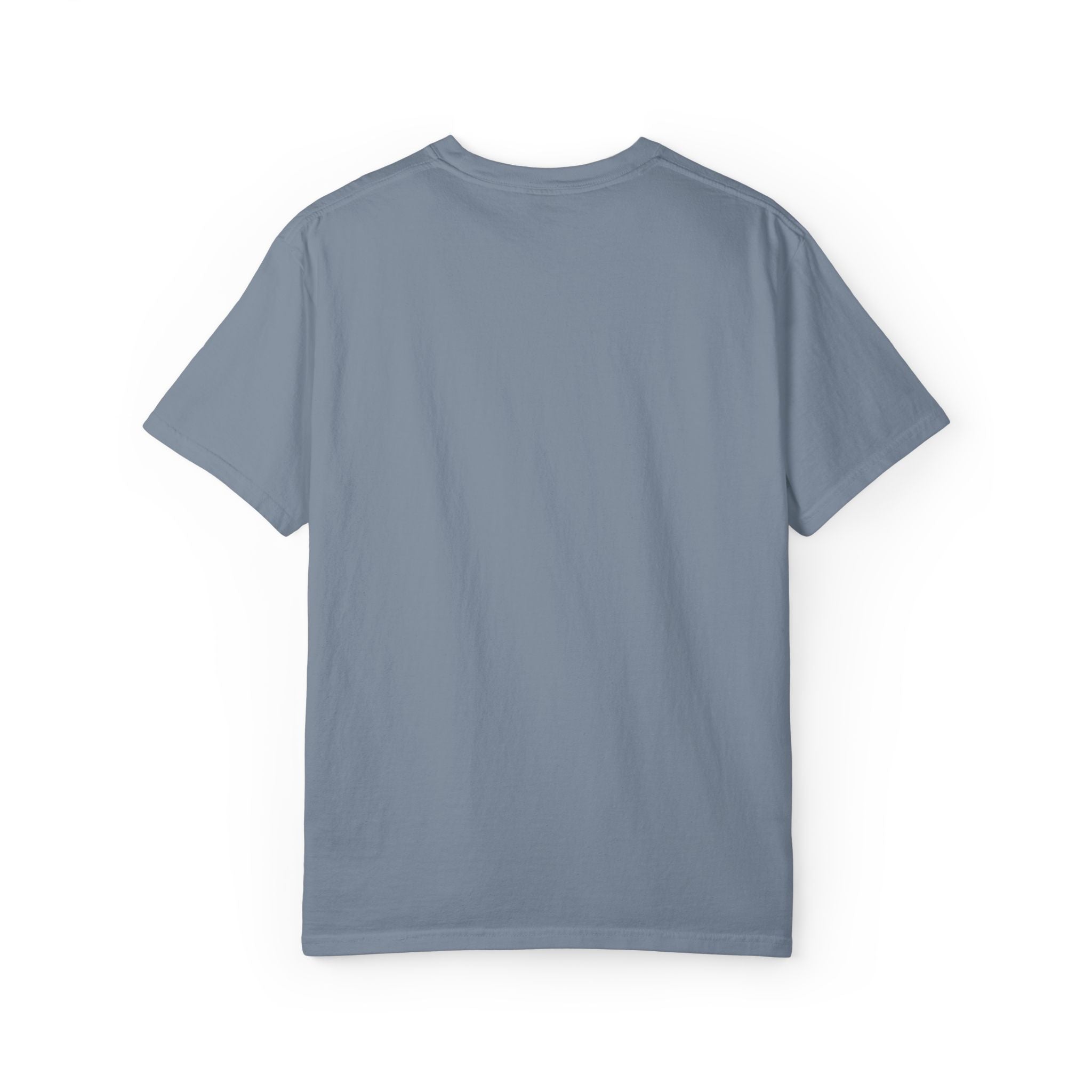A Little Ambitious Shirt Embroidered Comfort Colors Single Sided Tee