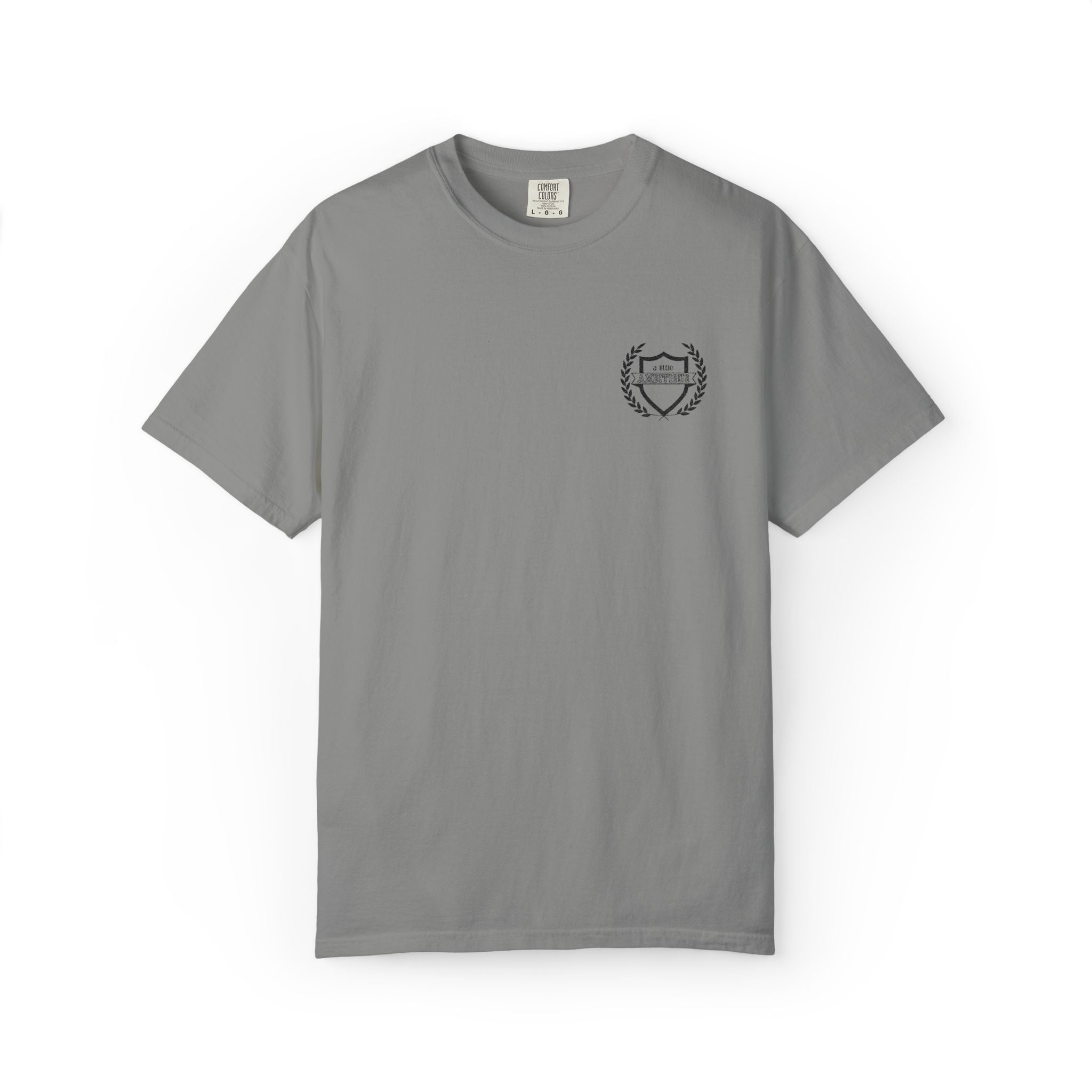 A Little Ambitious Shirt Embroidered Comfort Colors, Soft Cotton Minimalist Tee, Unisex Quiet Hustle T-Shirt, Subtle Boss Energy Top