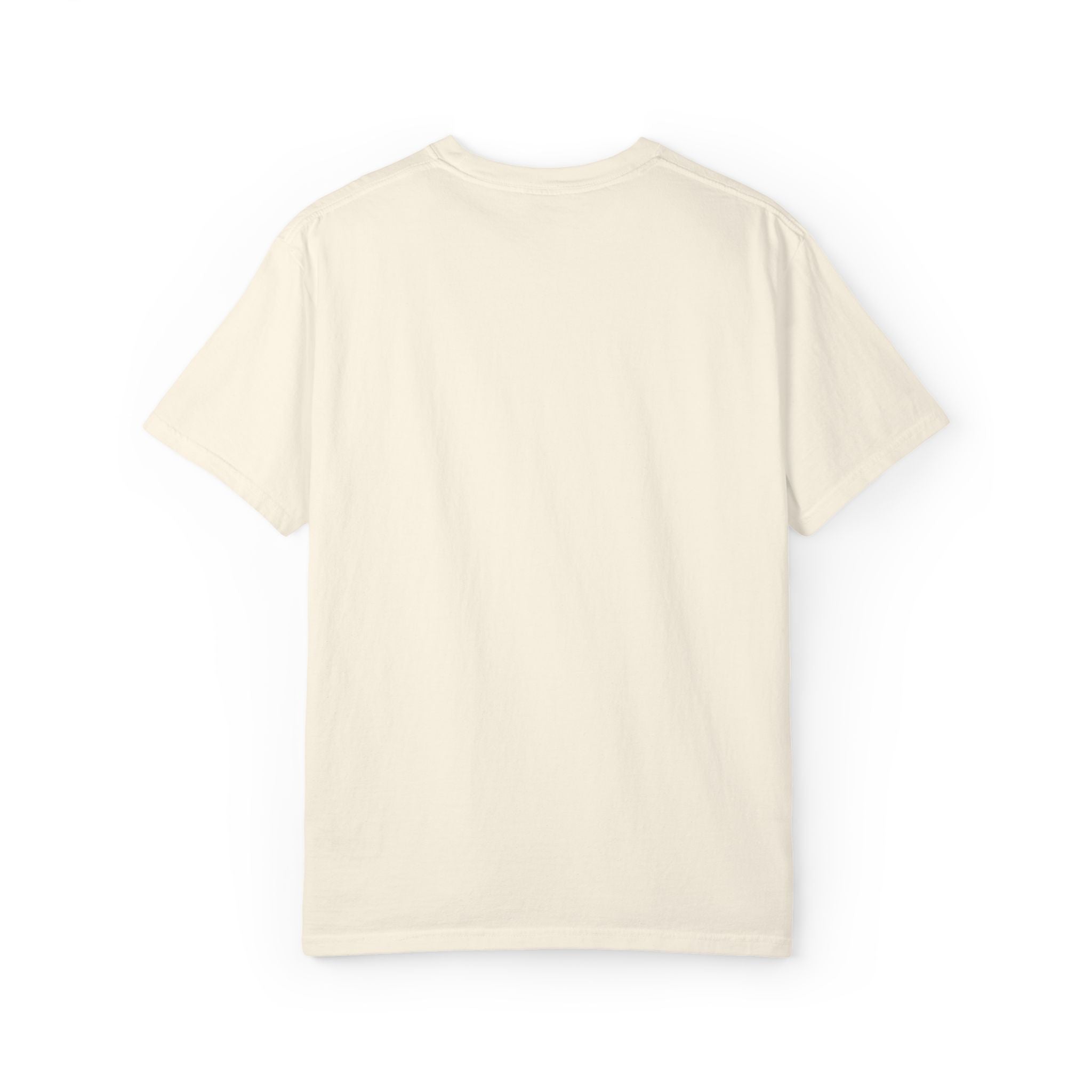 A Little Ambitious Shirt Embroidered Comfort Colors Single Sided Tee
