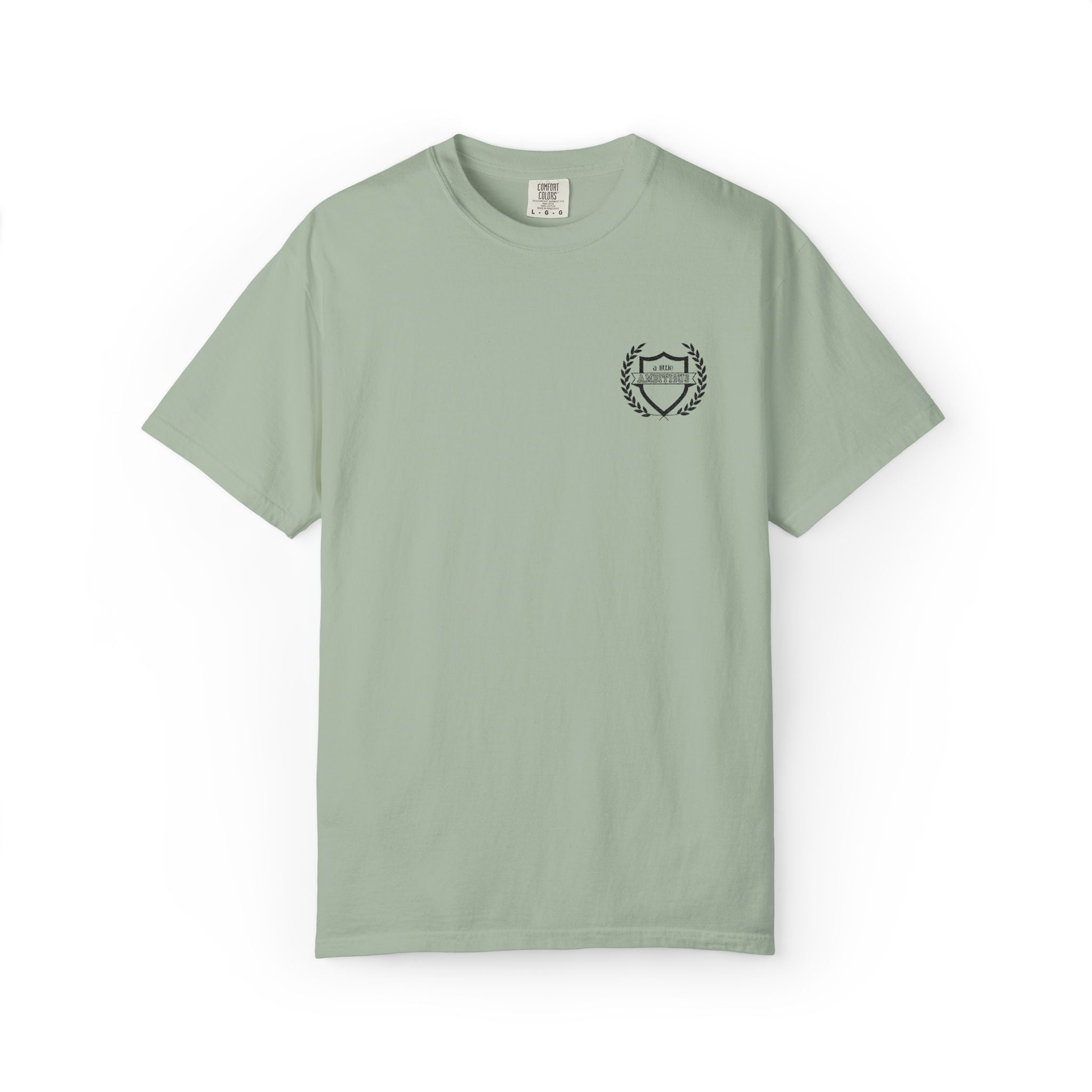 A Little Ambitious Shirt Embroidered Comfort Colors, Soft Cotton Minimalist Tee, Unisex Quiet Hustle T-Shirt, Subtle Boss Energy Top