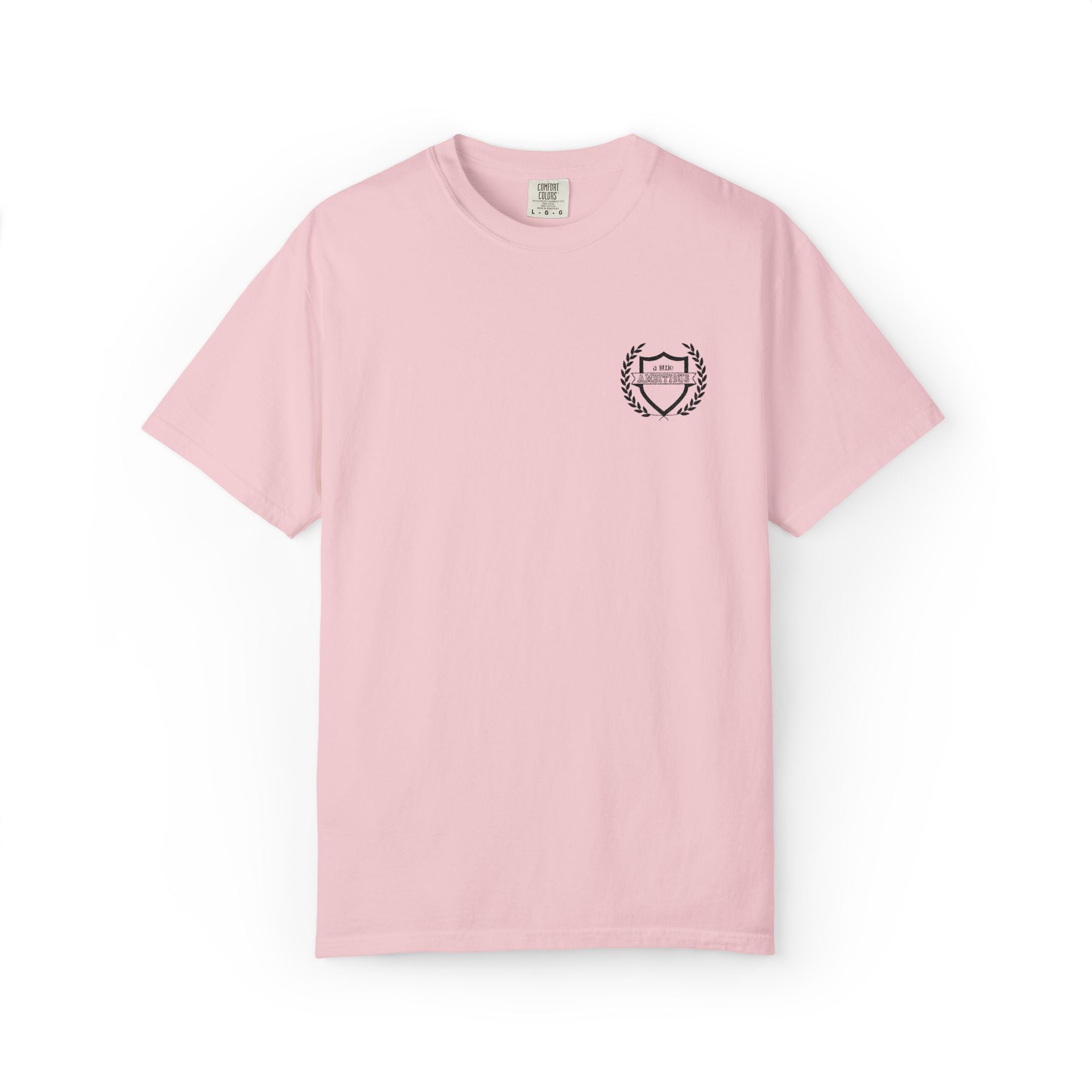 A Little Ambitious Shirt Embroidered Comfort Colors, Soft Cotton Minimalist Tee, Unisex Quiet Hustle T-Shirt, Subtle Boss Energy Top