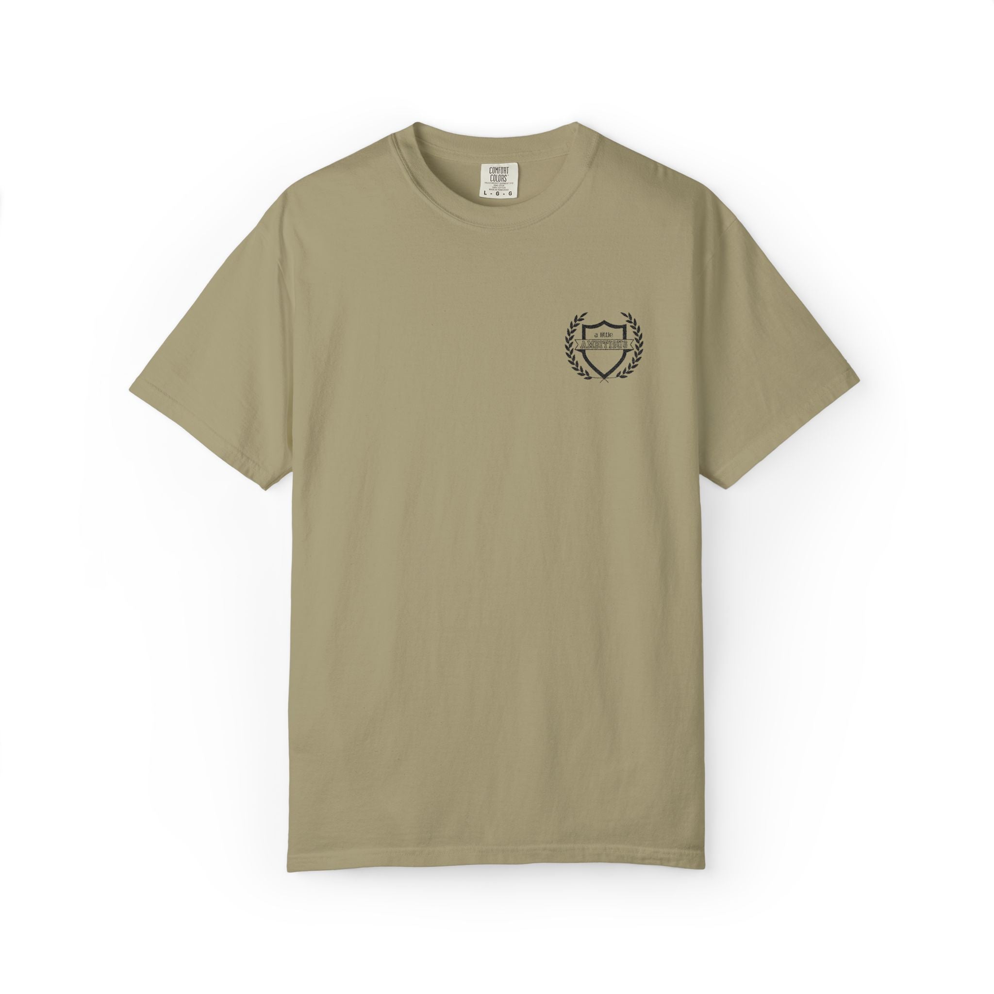 A Little Ambitious Shirt Embroidered Comfort Colors, Soft Cotton Minimalist Tee, Unisex Quiet Hustle T-Shirt, Subtle Boss Energy Top